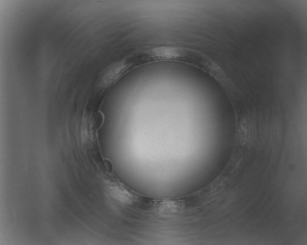 X0000050710330200506151854