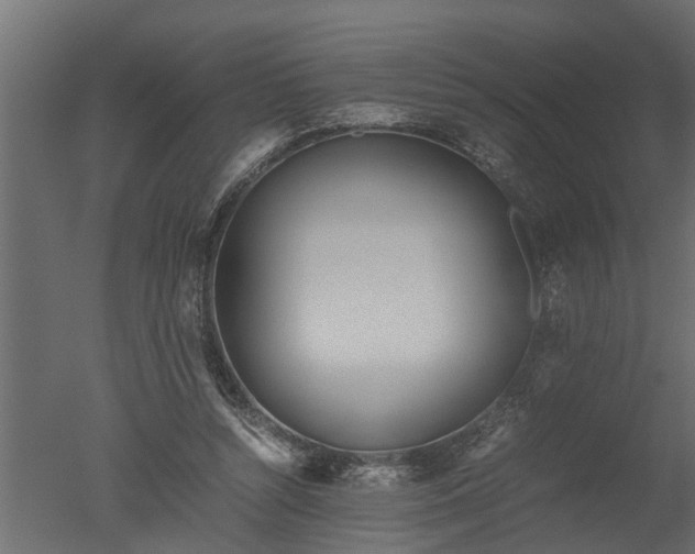 X0000050710352200506151853
