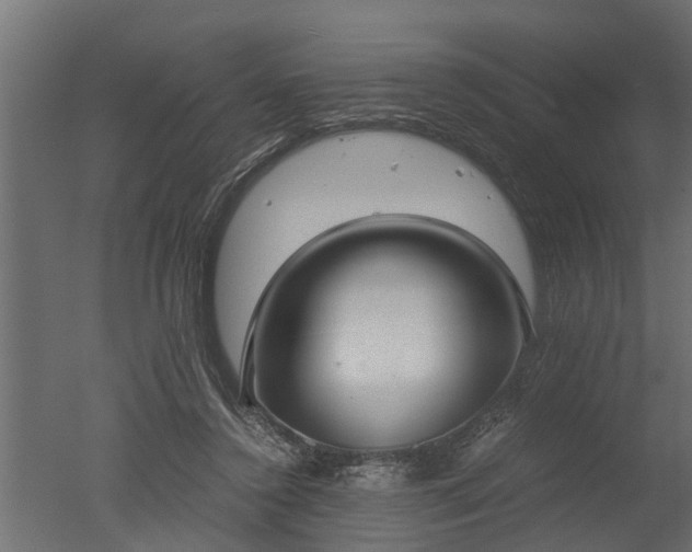 X0000050710356200506151853