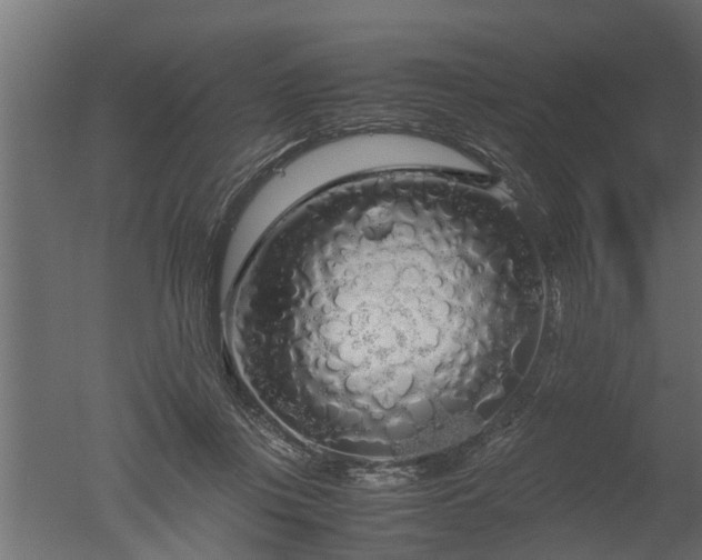 X0000050710359200506151854