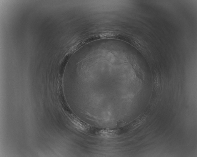 X0000050710367200506151854