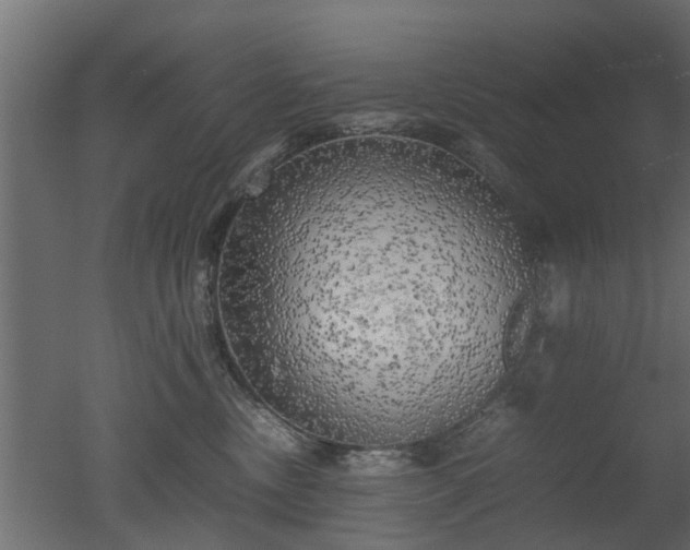 X0000050710378200506151854