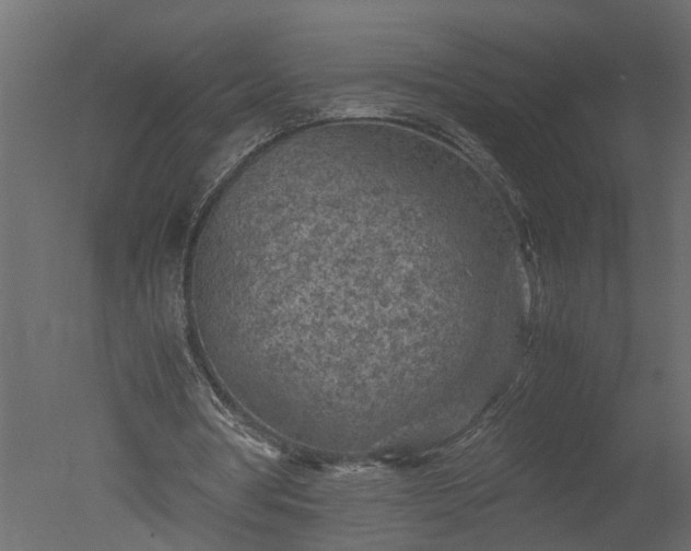 X0000050710386200506151853