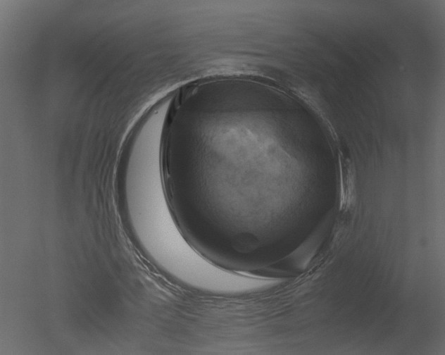 X0000050710387200506151853