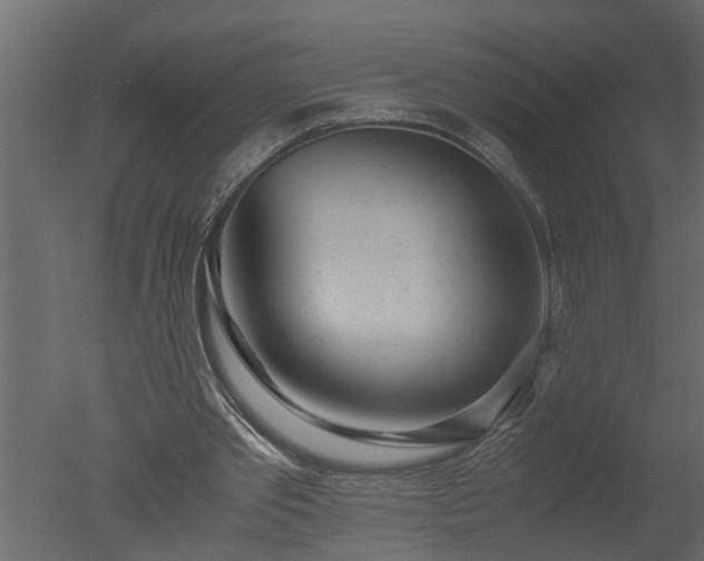 X0000050710389200506151853