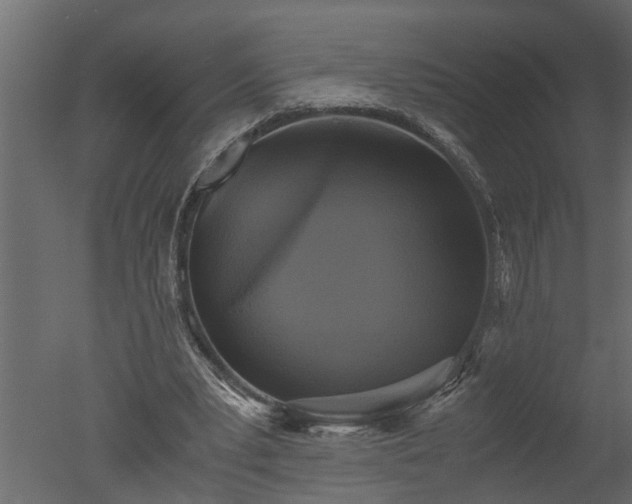 X0000050710391200506151853