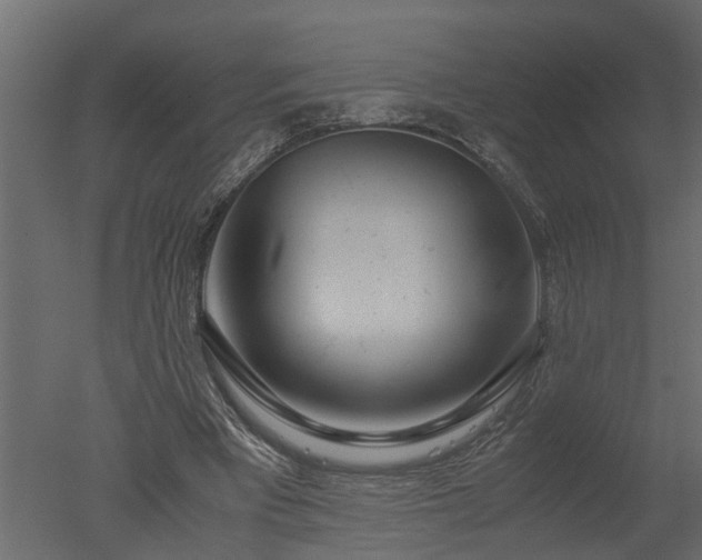 X0000050710393200506151853