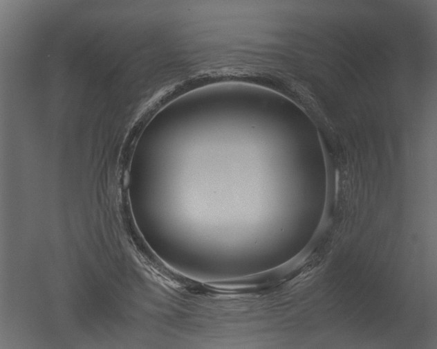 X0000050710395200506151853