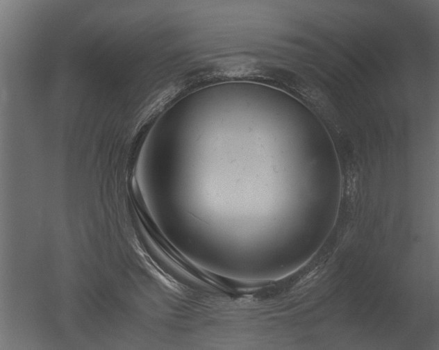 X0000050710397200506151853