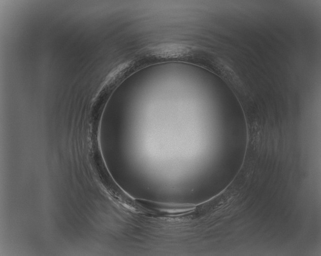 X0000050710400200506151853