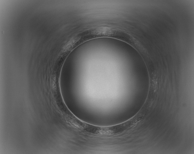 X0000050710403200506151853