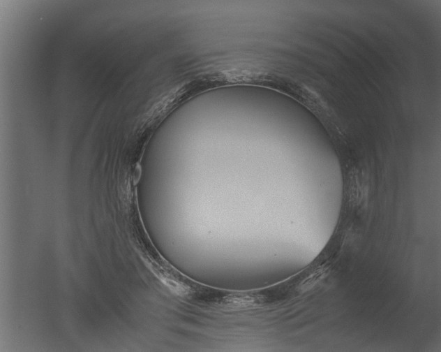 X0000050710405200506151853