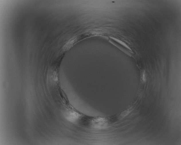 X0000050710431200506151852