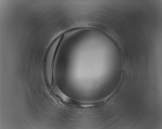 X0000050710434200506151852