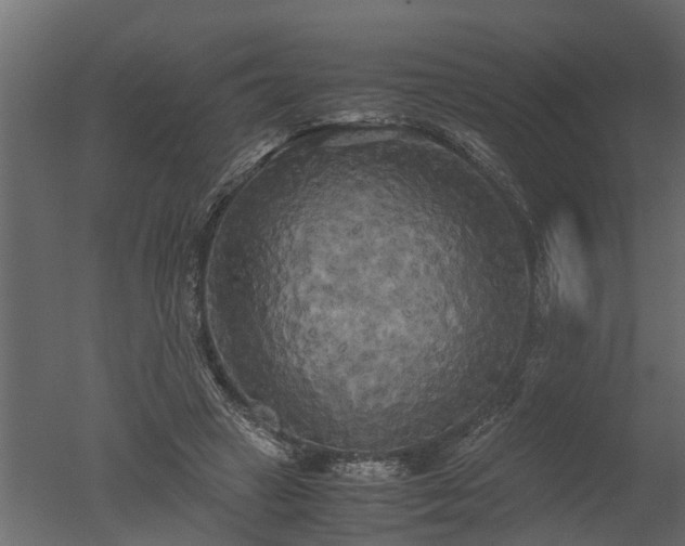 X0000050710449200506151852