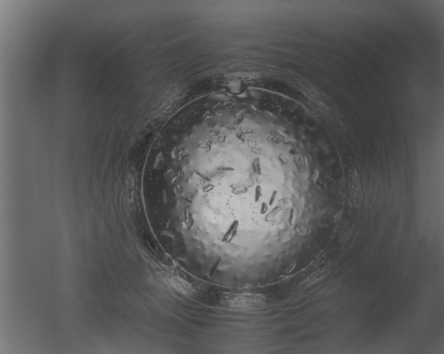 X0000050710463200506151852