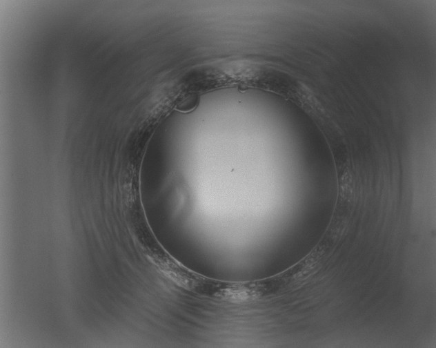 X0000050710464200506151852