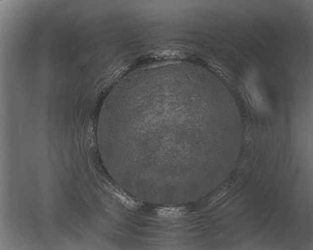 X0000050710465200506151852