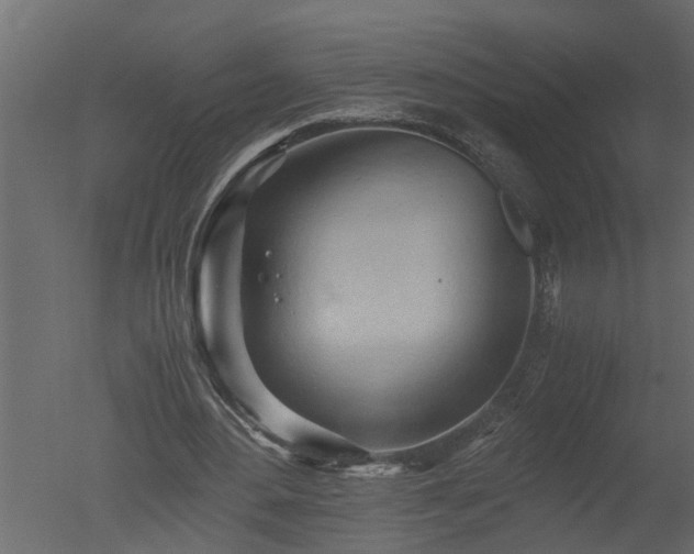 X0000050710484200506151851