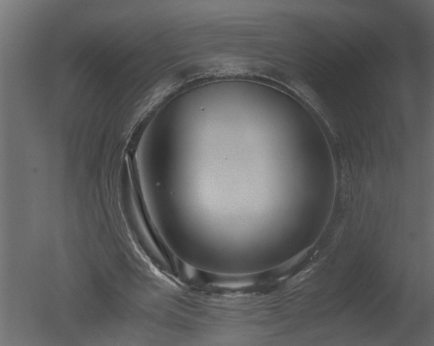 X0000050710485200506151851