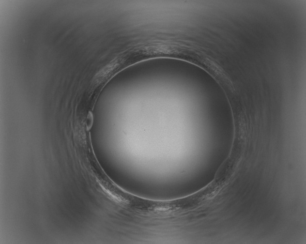 X0000050710489200506151851