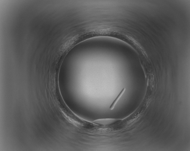 X0000050710493200506151851