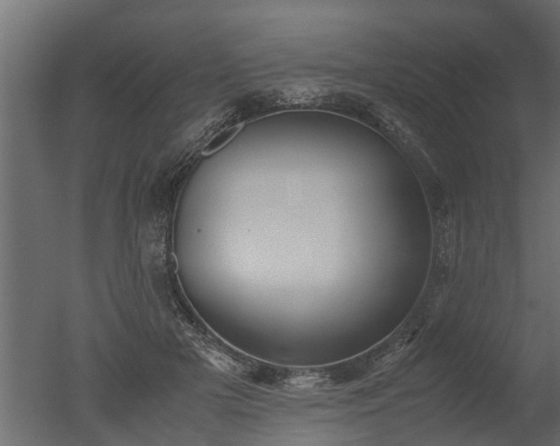X0000050710505200506151851