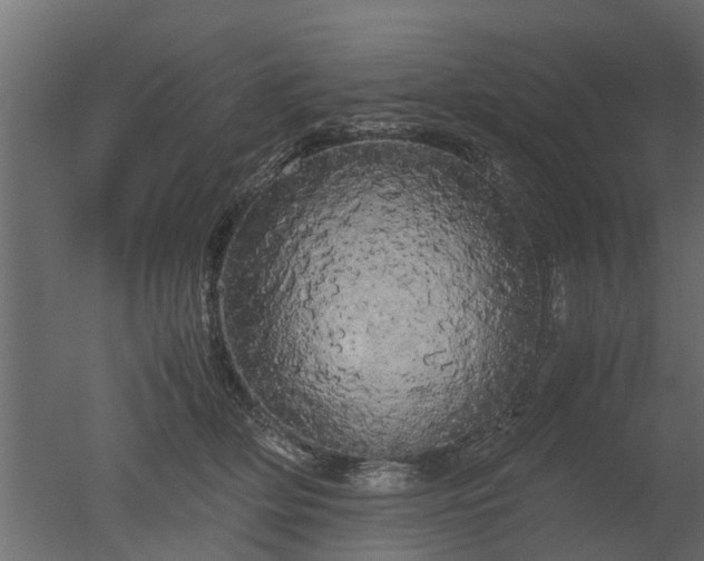 X0000050710514200506151851