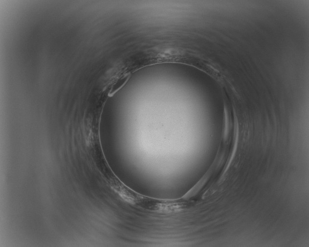 X0000050710520200506151851