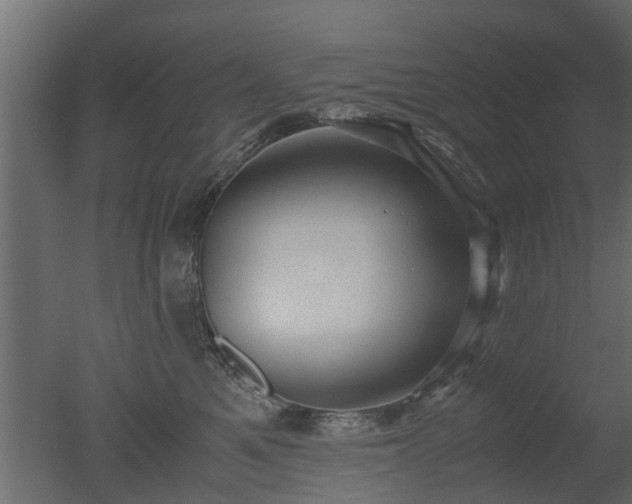 X0000050710521200506151851