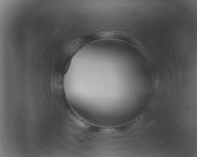 X0000050710525200506151851