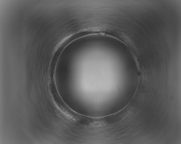 X0000050710536200506151850