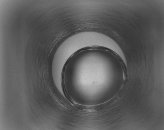 X0000050710552200506151850