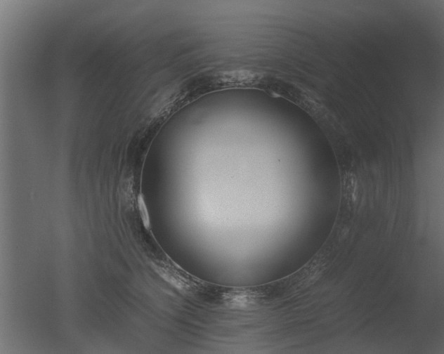 X0000050710564200506151850