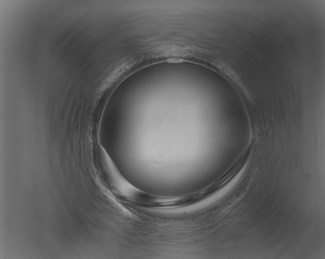 X0000050710581200506151850
