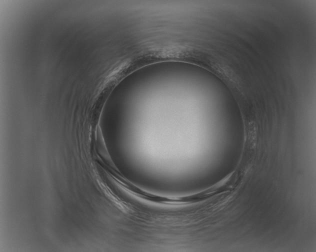 X0000050710589200506151850