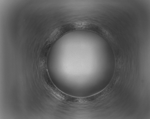 X0000050710601200506151849