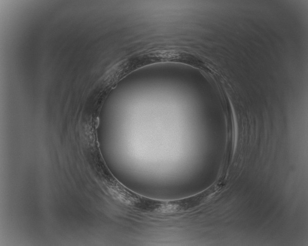 X0000050710609200506151849