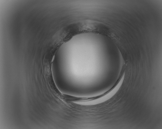 X0000050710617200506151849