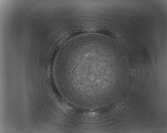 X0000050710647200506151849