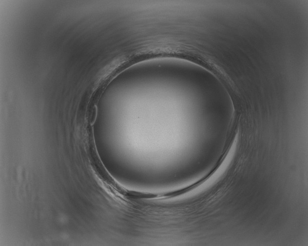 X0000050710677200506151848