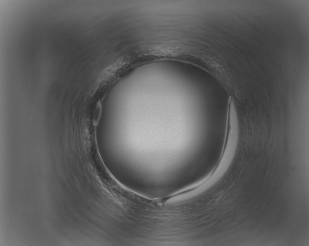 X0000050710688200506151848