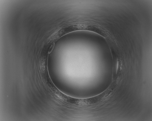 X0000050710697200506151848