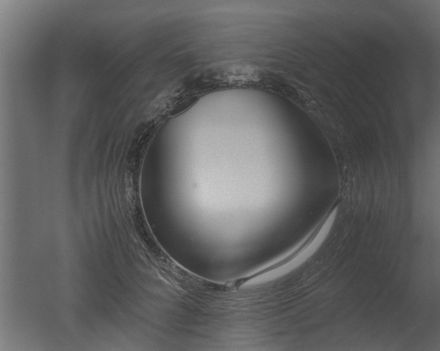 X0000050710704200506151848
