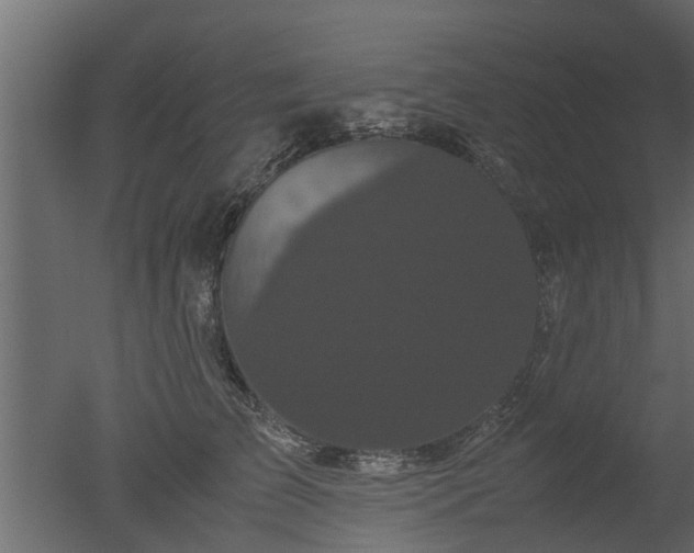 X0000050710709200506151848