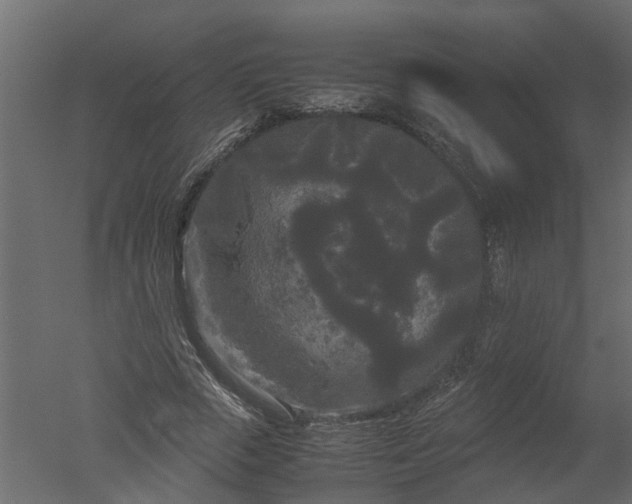 X0000050710729200506151847