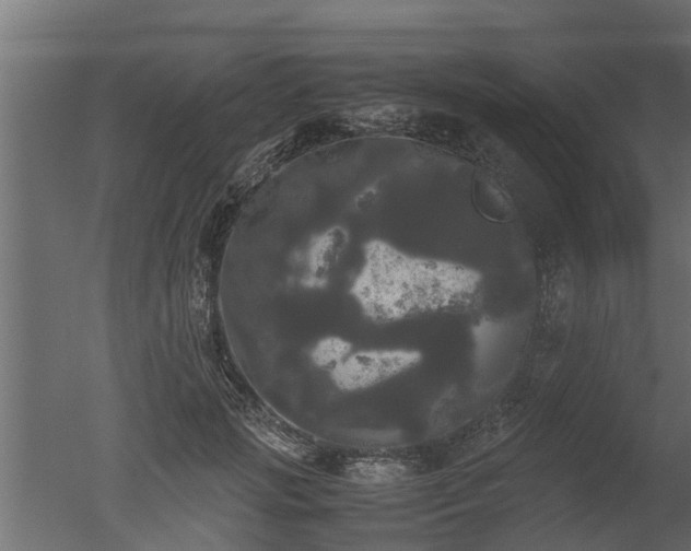 X0000050710749200506151847