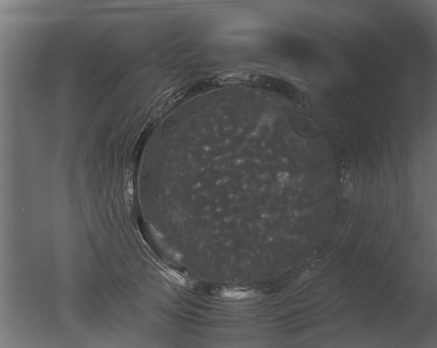 X0000050710753200506151847