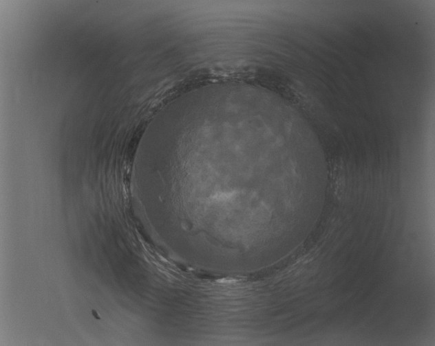 X0000050710770200506151847