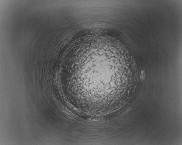 X0000050710771200506151847
